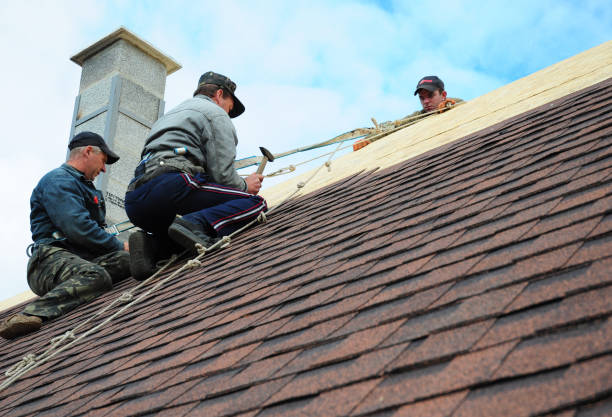 Roof Gutter Cleaning in Bridgeport, TX